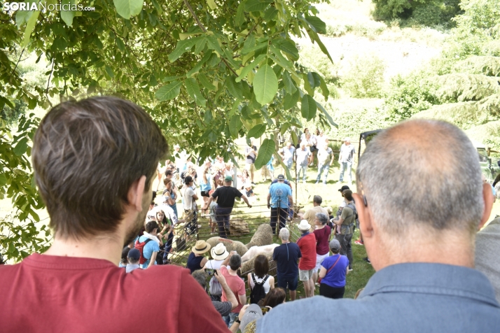 Fiesta de la Trashumancia 2025 en Oncala. /Encarna Muñoz