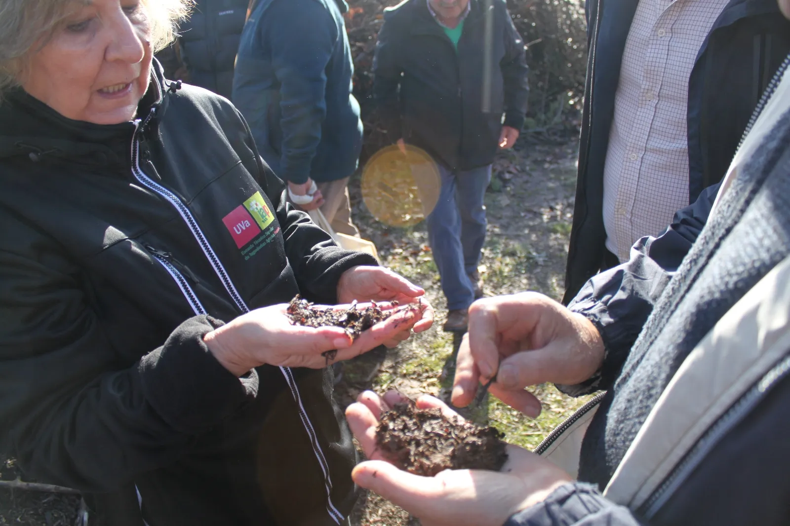 Foto 10 - Una inversi&oacute;n de 369.000 euros impulsa la gesti&oacute;n forestal circular en El Royo
