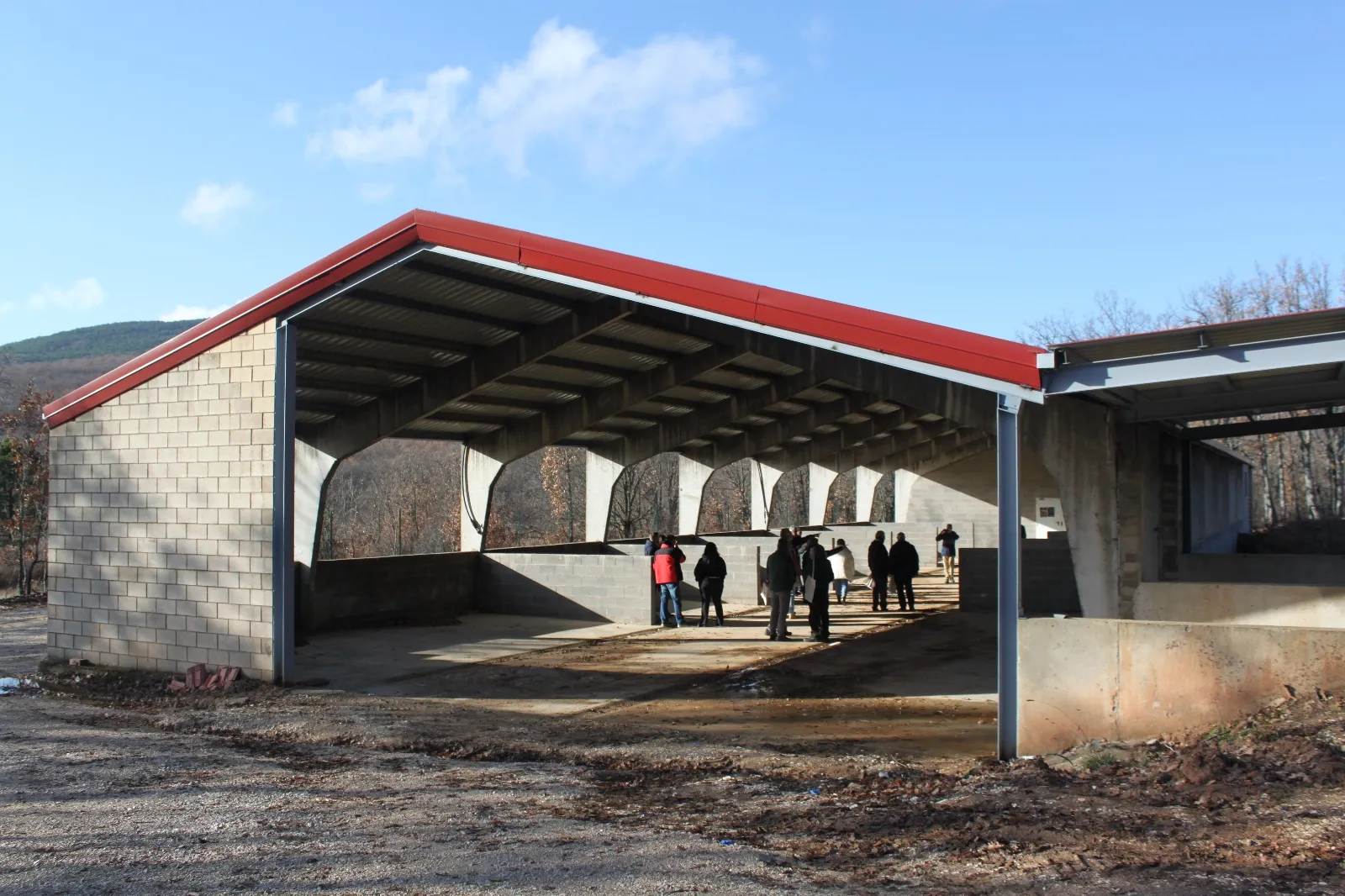 Foto 7 - Una inversi&oacute;n de 369.000 euros impulsa la gesti&oacute;n forestal circular en El Royo