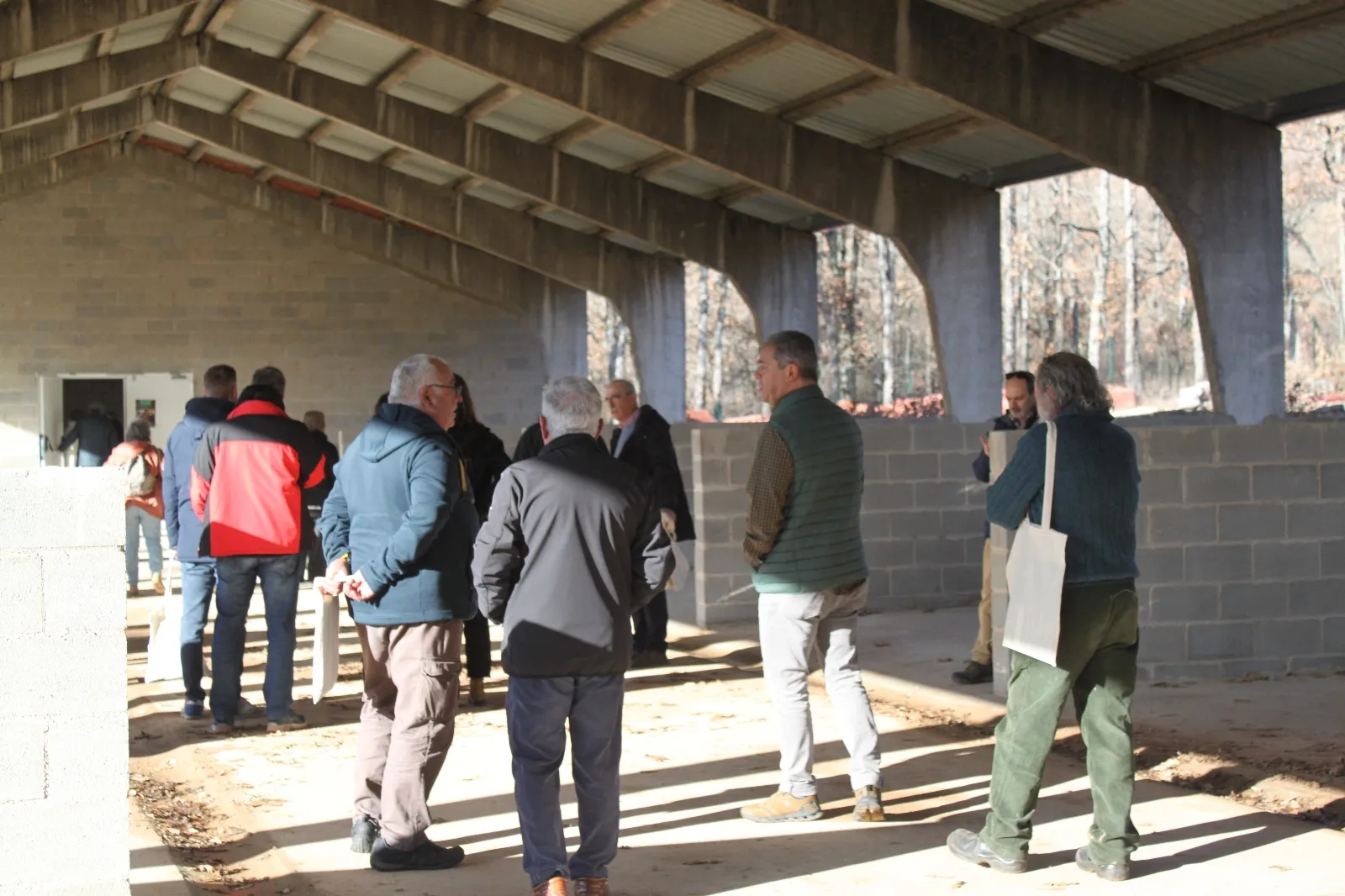 Foto 8 - Una inversi&oacute;n de 369.000 euros impulsa la gesti&oacute;n forestal circular en El Royo
