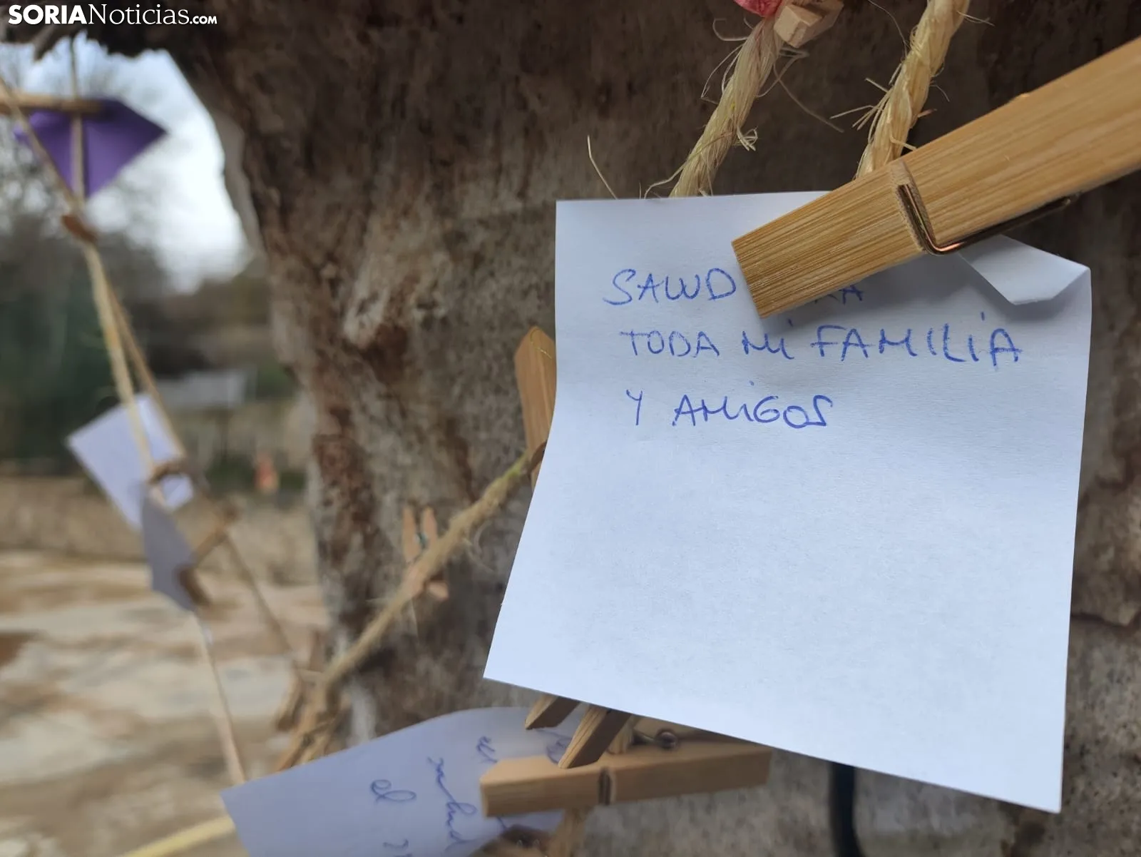 Feria del Acebo de Oncala 2025. 