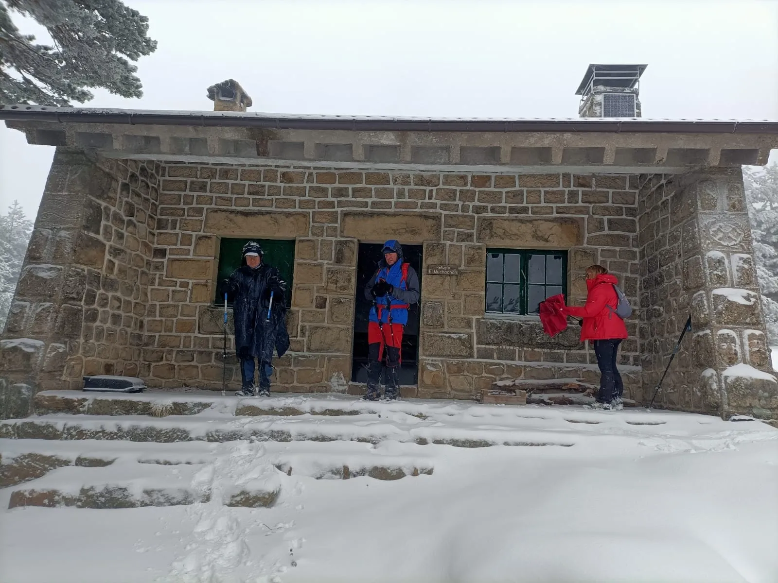 Una imagen de la nevada. 