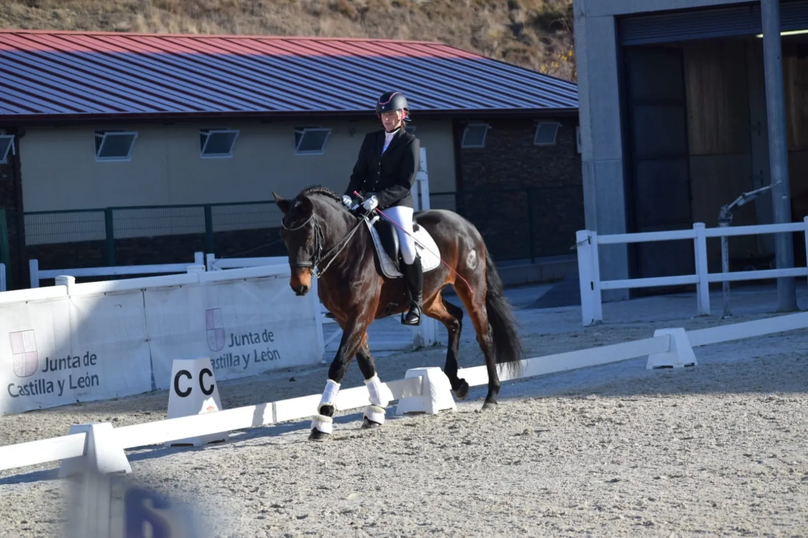 Foto 9 - El centro ecuestre El Robledal cierra la temporada con dos podios en Segovia