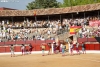 Foto 1 - La Plaza de Toros de El Burgo de Osma: patrimonio, legalidad y responsabilidad pública.