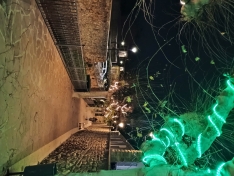 Encendido navideño en Ágreda. 