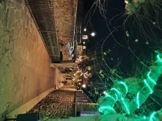 Encendido navideño en Ágreda. 
