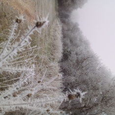 Foto 3 - Con -6,1 &ordm;C, este pueblo de Soria es el m&aacute;s 'bajocerista' de la provincia para el &uacute;ltimo d&iacute;a de 2025