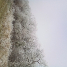 Foto 4 - Con -6,1 &ordm;C, este pueblo de Soria es el m&aacute;s 'bajocerista' de la provincia para el &uacute;ltimo d&iacute;a de 2025