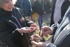 Foto 10 - Una inversi&oacute;n de 369.000 euros impulsa la gesti&oacute;n forestal circular en El Royo