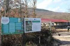 Foto 11 - Una inversi&oacute;n de 369.000 euros impulsa la gesti&oacute;n forestal circular en El Royo