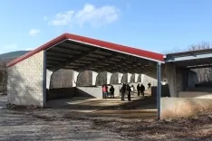 Foto 7 - Una inversi&oacute;n de 369.000 euros impulsa la gesti&oacute;n forestal circular en El Royo