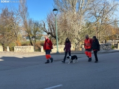 Foto 5 - Galería y crónica | El Burgo se viste de naranja para luchar contra el cáncer