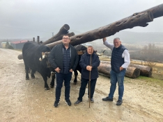 Foto 4 - La Casa de Soria en Valencia viaja a Abejar en defensa de la vaca Serrana Negra