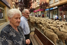 Foto 5 - 'La estela de los &uacute;ltimos trashumantes' captura la memoria visual de un oficio milenario en peligro