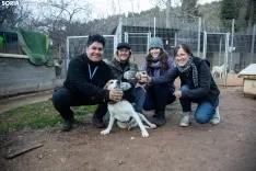 Foto 5 - Protectora Redenci&oacute;n: 25 a&ntilde;os que no pueden echarse a la basura