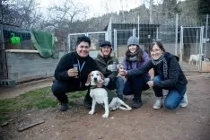 Foto 4 - Protectora Redenci&oacute;n: 25 a&ntilde;os que no pueden echarse a la basura