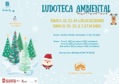 Foto 5 - Naturaleza, f&uacute;tbol sala y talleres creativos: Calendario de Navidad para los m&aacute;s peque&ntilde;os en Soria