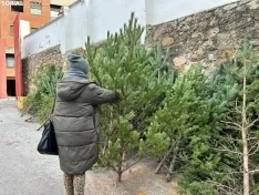 Foto 7 - &iquest;D&oacute;nde comprar &aacute;rboles de Navidad por tan solo 5 euros? Soria te da la soluci&oacute;n