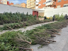 Foto 6 - &iquest;D&oacute;nde comprar &aacute;rboles de Navidad por tan solo 5 euros? Soria te da la soluci&oacute;n