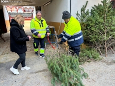 Foto 5 - &iquest;D&oacute;nde comprar &aacute;rboles de Navidad por tan solo 5 euros? Soria te da la soluci&oacute;n