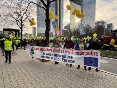 Foto 4 - ASAJA Soria lleva la protesta a Bruselas: "Es una situaci&oacute;n l&iacute;mite"