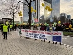 Foto 4 - ASAJA Soria lleva la protesta a Bruselas: "Es una situaci&oacute;n l&iacute;mite"
