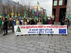 Foto 5 - ASAJA Soria lleva la protesta a Bruselas: "Es una situaci&oacute;n l&iacute;mite"
