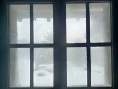 Una imagen de la nevada. 