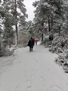 Una imagen de la nevada. 