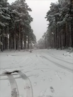 Una imagen de la nevada. 