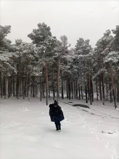 Una imagen de la nevada. 