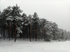 Una imagen de la nevada. 