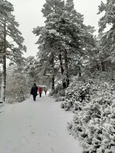 Una imagen de la nevada. 