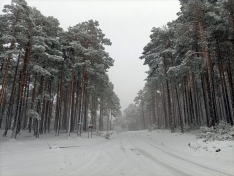 Una imagen de la nevada. 