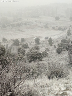 Foto 3 - Golmayo lleva su bel&eacute;n a la Cueva
