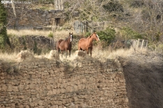 Paseo por el Barrio Moro de Ágreda. /Encarna Muñoz