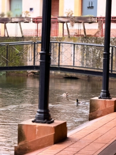 Foto 3 - La escena en la que nadie levant&oacute; la mirada