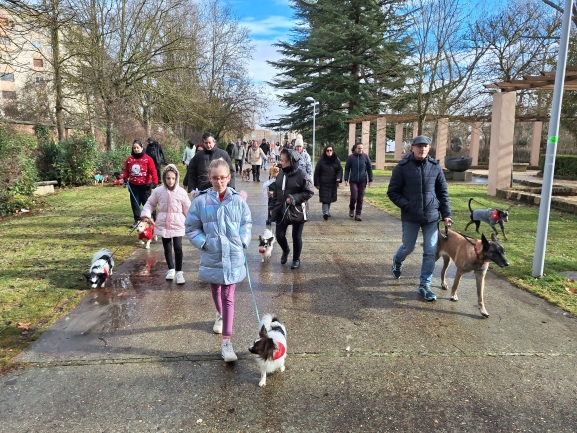 Éxito del tercer desfile canino navideño en Almazán