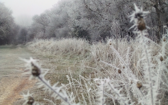 Con -6,1 ºC, este pueblo de Soria es el más bajocerista de la provincia para el último día de 2025