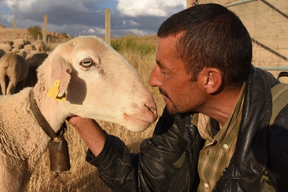 Jorge Sanz lanza libro sobre trashumancia en Soria