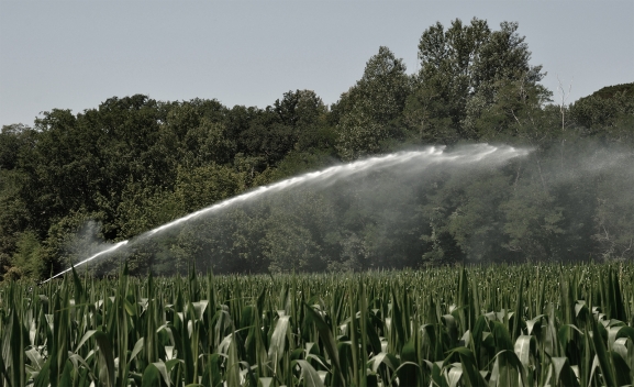 El Canal de Almazán fija en dos meses el plazo voluntario para el pago de las tasas de riego