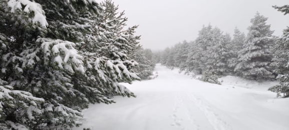 La nieve y el mal tiempo llevan a suspender la subida popular del belén a Urbión