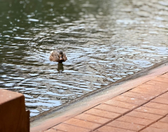 La escena en la que nadie levantó la mirada