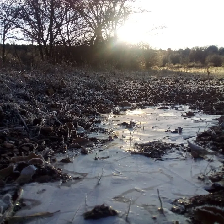 Foto 2 - La provincia de Soria lidera el fr&iacute;o en Espa&ntilde;a: -8,0 grados en Espejo de Tera