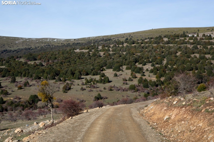Acebal de Garagüeta