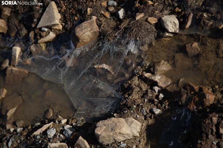 Acebal de Garagüeta