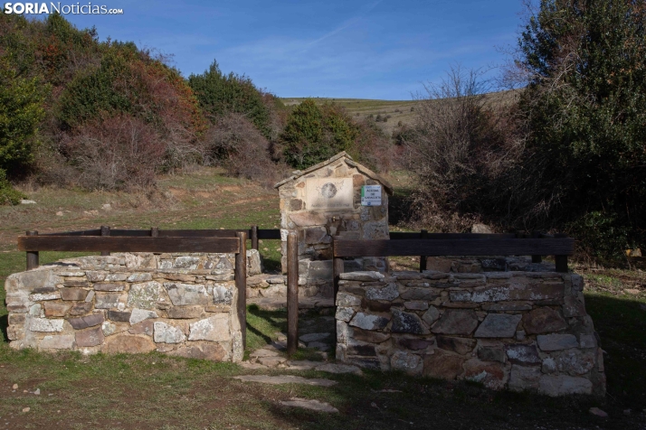 Acebal de Garagüeta