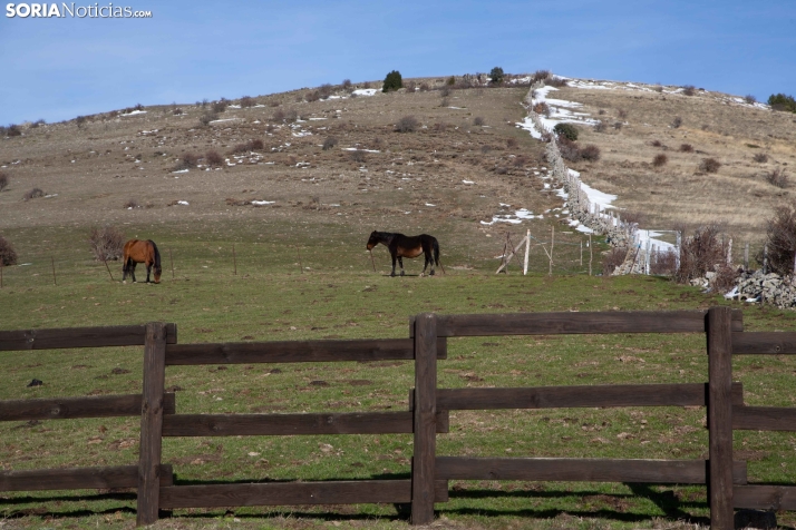 Acebal de Garagüeta