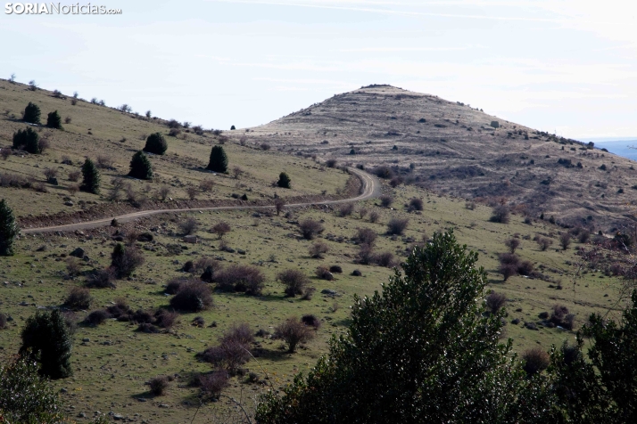 Acebal de Garagüeta
