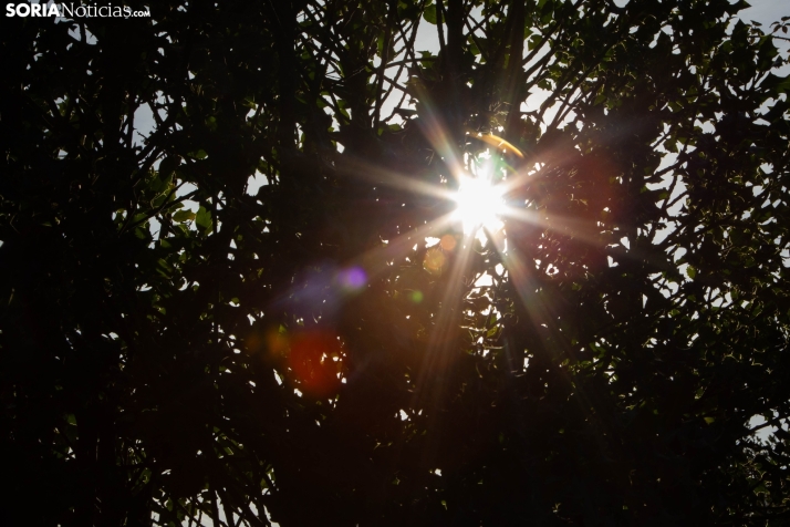 Acebal de Garagüeta